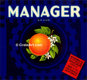 MANAGER (O)