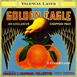 GOLDEN EAGLE (O) #3