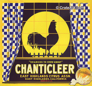 CHANTICLEER (O)