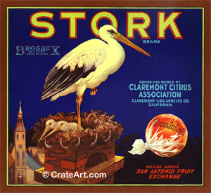 STORK (O) #2