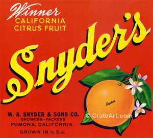 SNYDER'S WINNER (O)