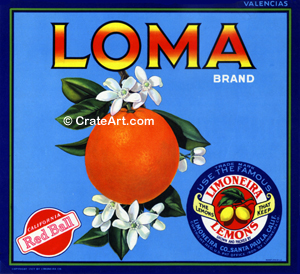 LOMA (O)