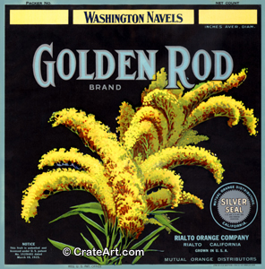 GOLDEN ROD (O) #7