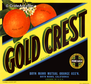 GOLD CREST (O)