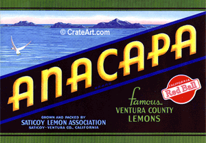 ANACAPA (L)