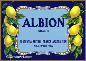 ALBION (L)