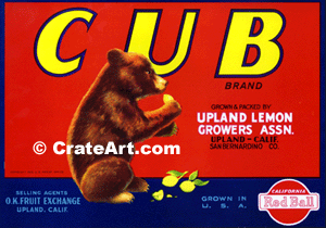 CUB (L)