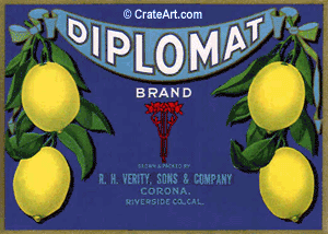 DIPLOMAT (L)