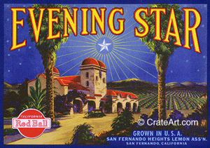 EVENING STAR (L)