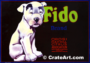 FIDO (L)