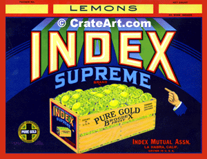 INDEX SUPREME (L)