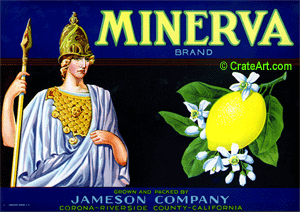 MINERVA (L)