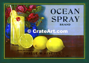 OCEAN SPRAY (L)