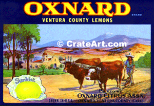 OXNARD (L)