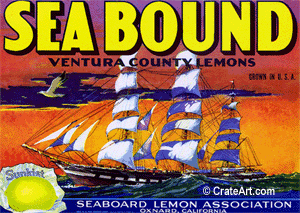 SEA BOUND (L)