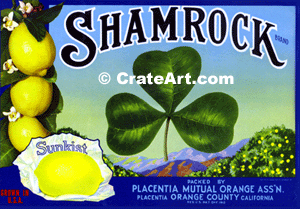 SHAMROCK (L)