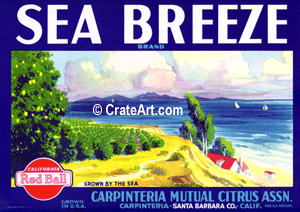 SEA BREEZE (L)