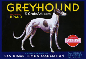 GREYHOUND (L)