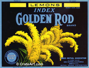 GOLDEN ROD (L)