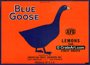 BLUE GOOSE (L) #1