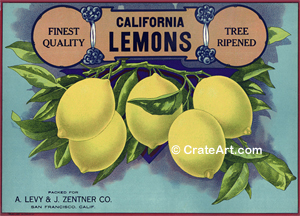 CALIFORNIA LEMONS (L)