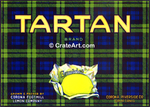 TARTAN (L)