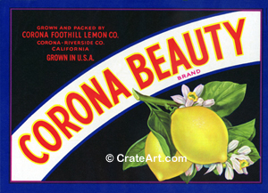 CORONA BEAUTY (L)