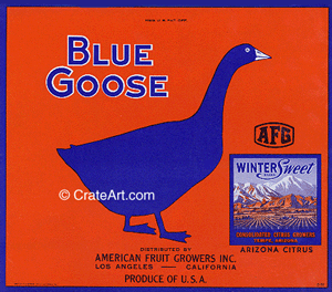 BLUE GOOSE (AZ) (O) #2