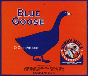 BLUE GOOSE (AZ) (O) #1