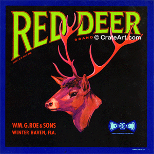 RED DEER (F)