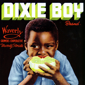 DIXIE BOY (F)