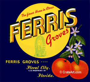 FERRIS GROVES (F)