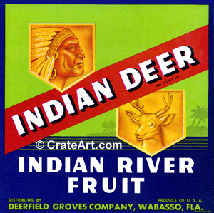 INDIAN DEER (F) #2