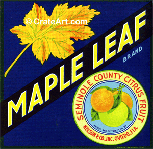 MAPLE LEAF (F) #2