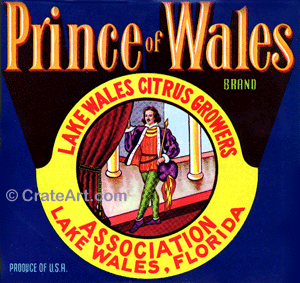 PRINCE OF WALES (F)