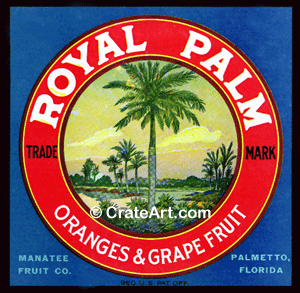 ROYAL PALM (F)