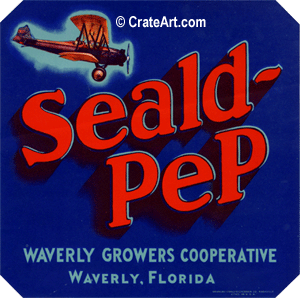 SEALD-PEP (F)