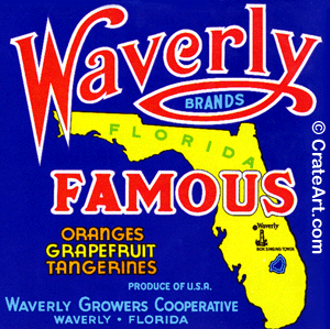 WAVERLY FAMOUS (F)