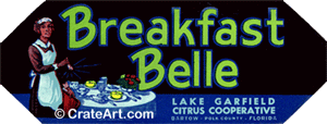 BREAKFAST BELLE (FS)