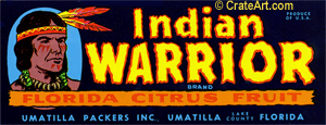 INDIAN WARRIOR (FS)