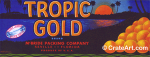 TROPIC GOLD (FS)