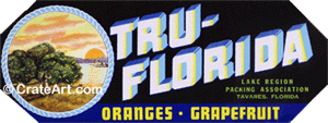 TRU-FLORIDA (FS) #1