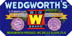 WEDGWORTH'S BIG W (FS) (V) #2