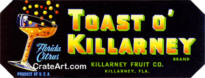 TOAST O' KILLARNEY (FS)