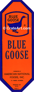 BLUE GOOSE (FS) #3