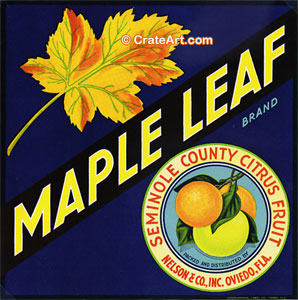 MAPLE LEAF (F) #1