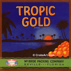 TROPIC GOLD (F) #2