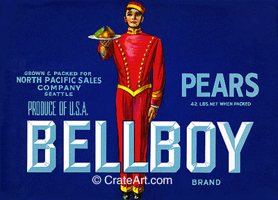 BELLBOY (P)