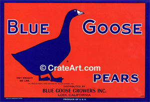 BLUE GOOSE (P) #2