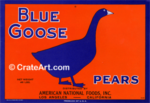 BLUE GOOSE (P) #3